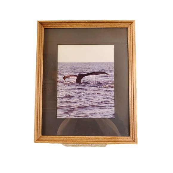 Vintage Framed Whale Tail Photograph - Picture 2 of 6